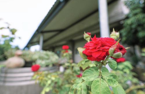 Taitung Casa | Taitung city-cottage B&B