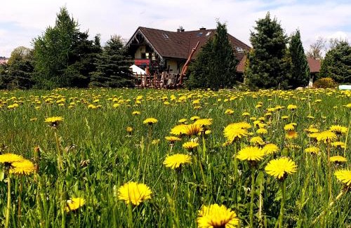 Szczytna Cama Y Desayuno | Tajemniczy Ogród Szczytna - Bed & Breakfast