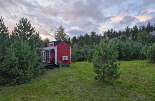 Lubiana Casa | Tajnikowo Sekretny Tiny House Wasabi