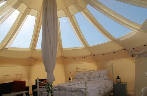 Llangeinor Otro | Tal-y-fan farm 6m stargazer tent