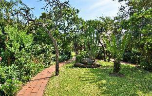 Eston Cabina | Tala Collection Game Reserve