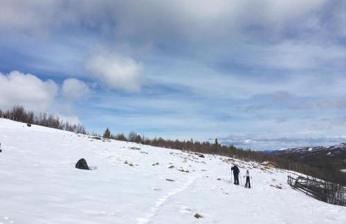 Al Municipality Casa | Tallåsen Dagalifjell