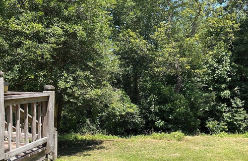 Wiley Apartamento | Tallulah Gorge Guest Suite One & Two