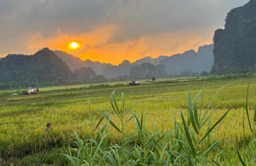 Hoa Lu Cabina | Tam Coc Palm House