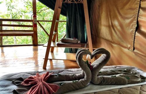 Providencia de Dota Otro | Tami Lodge