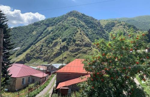 Stepantsminda Casa | Tamila Guest House