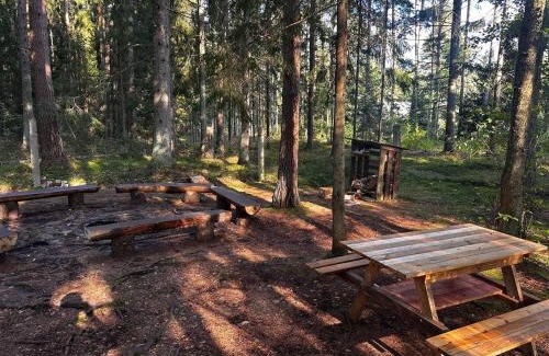 Kuusalu Parish Otro | Tammispea puhkeküla