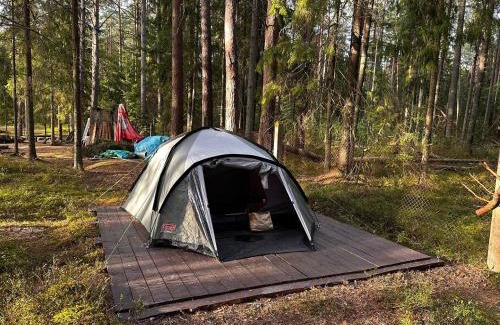 Kuusalu Parish Otro | Tammispea puhkeküla