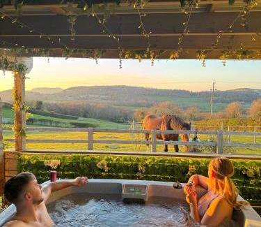 Glanwydden Otro | Tan Y Bryn Glamping