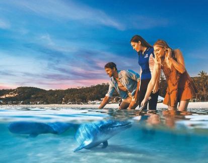 Brisbane Waterfront Complejo | Tangalooma Island Resort