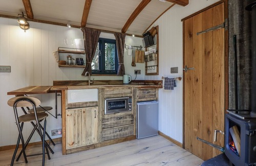 Kingswood Cabaña | TANGLEWOOD SHEPHERDS HUT, romantic, with hot tub in Welshpool