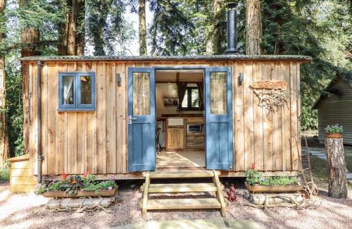 Kingswood Casa | Tanglewood Shepherds Hut
