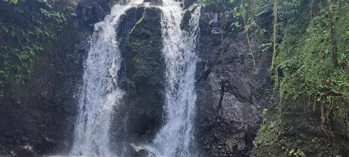 Tanna Island Cama Y Desayuno | Tanna Chez Nous Bungalow and Tours