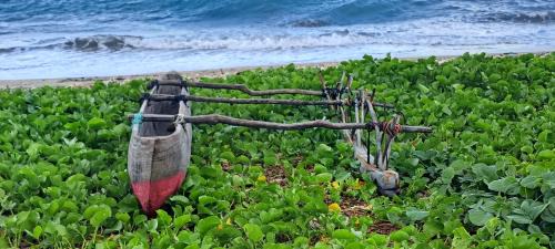 Tanna Island Cama Y Desayuno | Tanna Chez Nous Bungalow and Tours