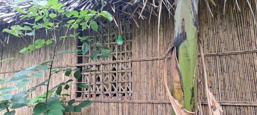 Tanna Island Cama Y Desayuno | Tanna Chez Nous Bungalow and Tours