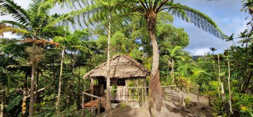 Tanna Island Cama Y Desayuno | Tanna Lava View Bungalows
