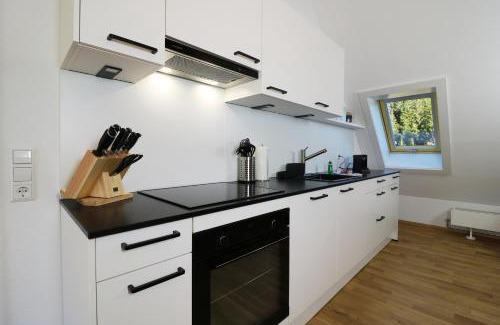 Schluchsee Apartamento | Tannenhof Fischbach - Fewo 5 "Zander" - Schluchsee, 2 Schlafzimmer Schlafgalerie, E-Auto Ladestation