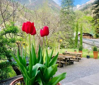 Caines Cama Y Desayuno | Tannerhof Bed & Breakfast
