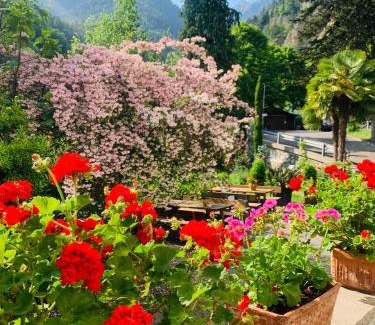 Caines Cama Y Desayuno | Tannerhof Bed & Breakfast