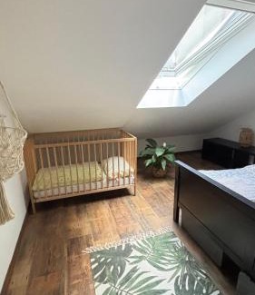 Piestany Apartamento | Tanny Boho Housy na pešej zóne s 2 parkovacími miestami