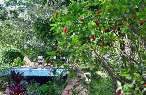 Karatu Cabina | Tanzanice Farm Lodge