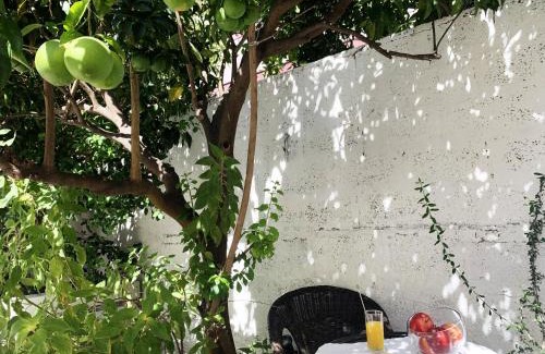Alghero Apartamento | Tap Apartments - in Independent House with Private Garden