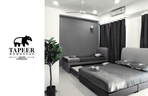 Kampung Telaga Nibong Apartamento | Tapeer Homestay 13CC99 @D Perdana Kota Bharu