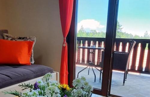 Kremna Apartamento | Tara Apartmani Malešević - 2