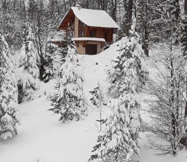 Kremna Apartamento | Tara Cozy Home