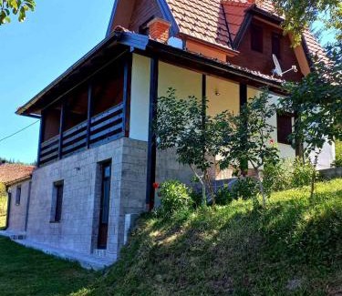 Bajina Basta Casa | TARA Vila Rajak