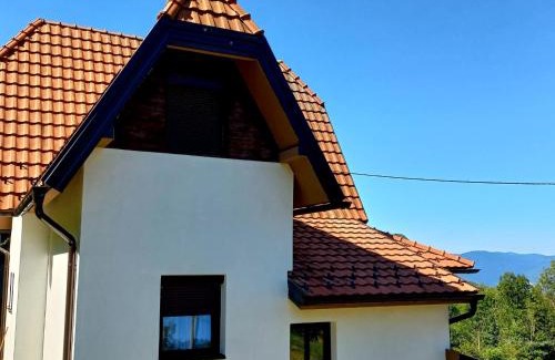 Bajina Basta Casa | TARA Vila Rajak