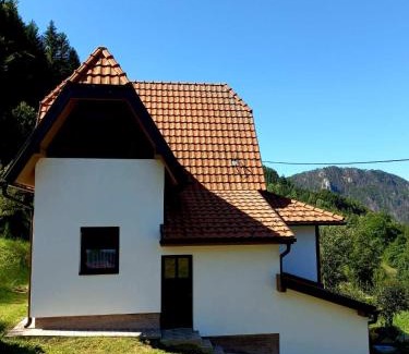 Bajina Basta Casa | TARA Vila Rajak