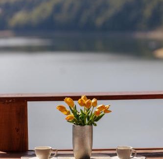 Solina Cabina | Tarasy nad Solina