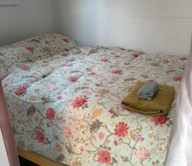 Taree Apartamento | Taree CBD Tiny backyard POD