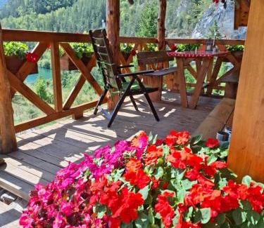 Bajina Basta Casa | Tarska čarolija Zaovine