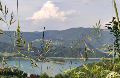 Bajina Basta Apartamento | Tarska kuća za odmor
