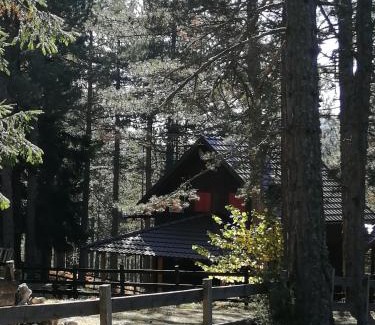Konjska Reka Cabina | Tarski dom
