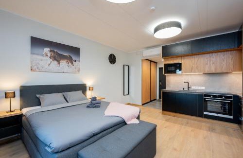 Tartu Apartamento | TartuKodu Riia 22-21