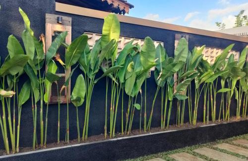 Denpasar Utara Cabina | Taruchi 2 Bedrooms with Garden View
