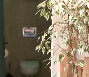 Imsouane Apartamento | Tasblast