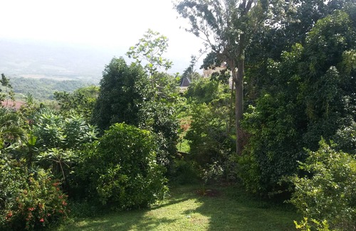 Mandeville Apartamento | Tashari-dae Inn hogar lejos del hogar