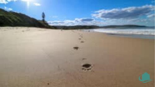 Caves Beach Casa | Tasmans Hideaway - Stunning villa close to Beach
