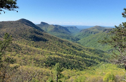 Newland Cabina | Taste of the Gorge - A True Log Cabin Experience