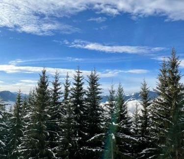 Sankt Johann im Pongau Apartamento | Taurachhof Astlehen