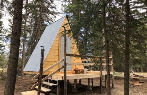 Clearwater County Cabina | Tay River Treehouse nestled on Tay River