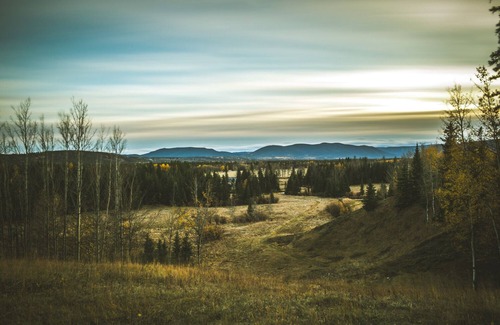 Clearwater County Cabina | Tay River Treehouse nestled on Tay River