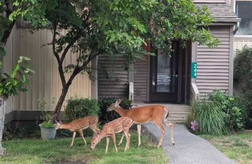 East Stroudsburg Casa | TDT Poconos Getaways