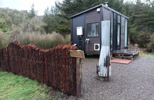 Shannon Casa | Te Paki Dam View by Tiny Away