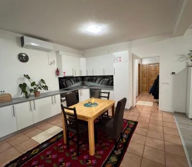 Mali Radic Apartamento | Teal Apartment 1