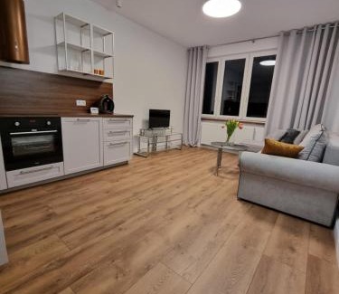 Boleslawiec Apartamento | Teatralna Nowoczesny Apartament Centrum Bolesławca